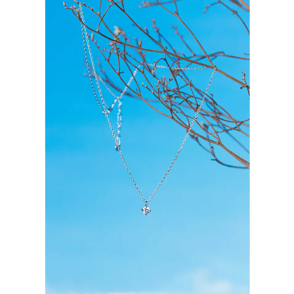 Necklace with Silver Necklace - BRO Webshop