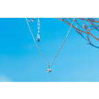 Necklace with Silver Necklace - BRO Webshop